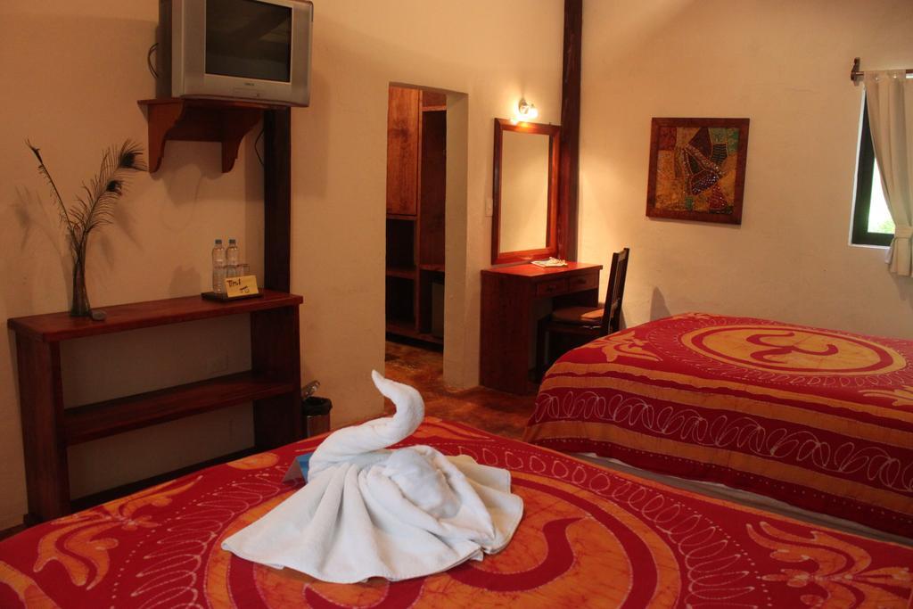 Fusion Beach Hotel Playa del Carmen Rum bild
